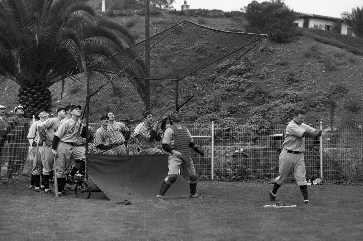 Cubs Spring Training on Catalina Island!