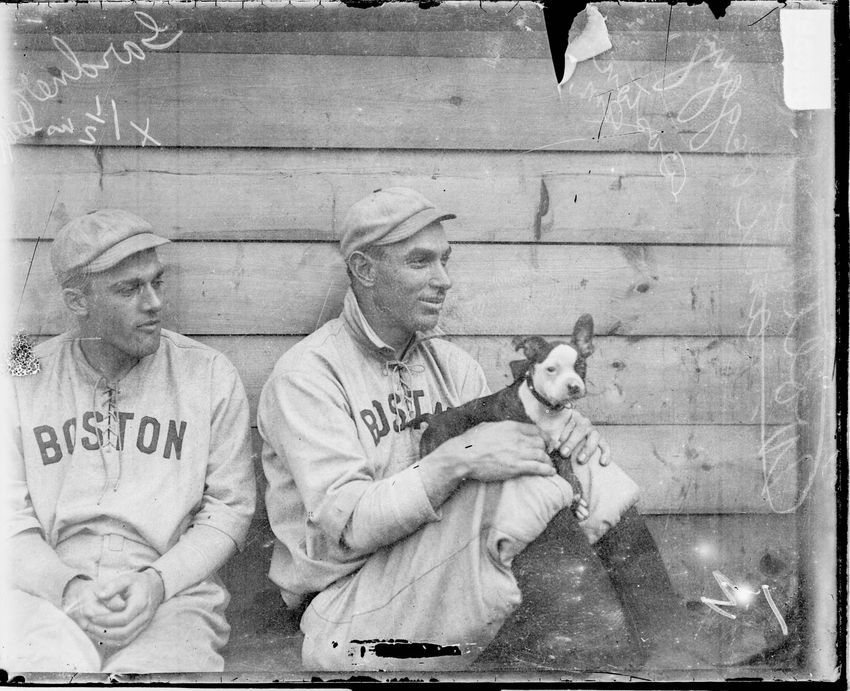 Baseball  Players and Their Furry Friends!