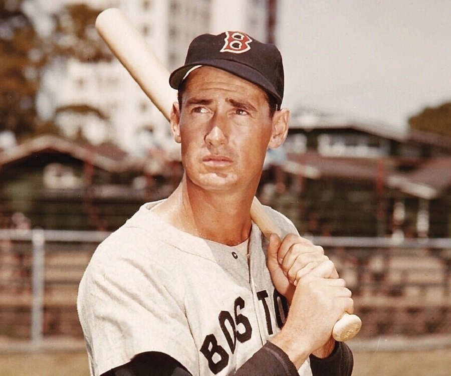 ted williams baseball