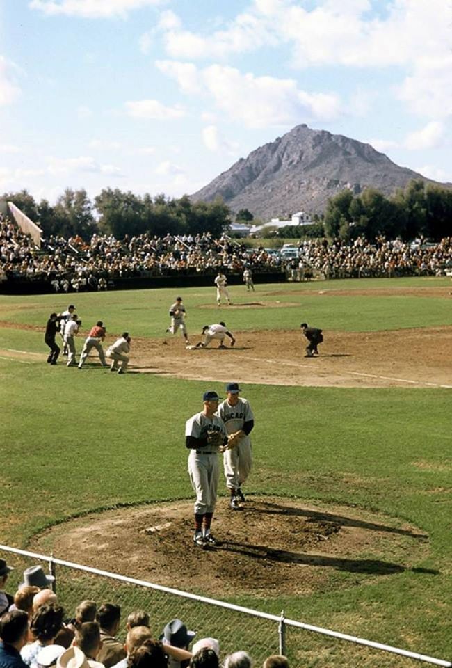 Spring Training, Part I: Let’s Play Ball!