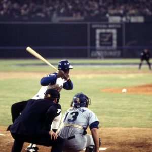 photos.medleyphoto.9314282